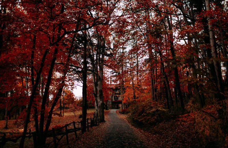 Fall at Arrow Park Lake and Lodge.