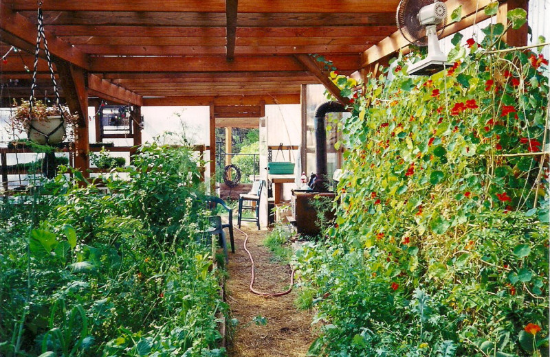 Green house at Rainbow Hearth Sanctuary & Retreat Center.