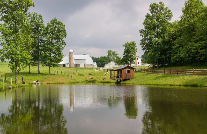 Amish country at Berlin Grande Hotel.