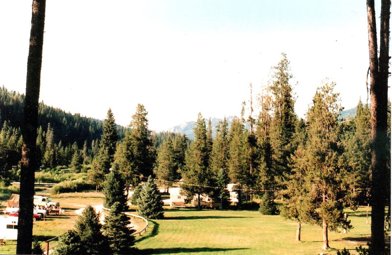 Camping Area at Silver Creek Plunge