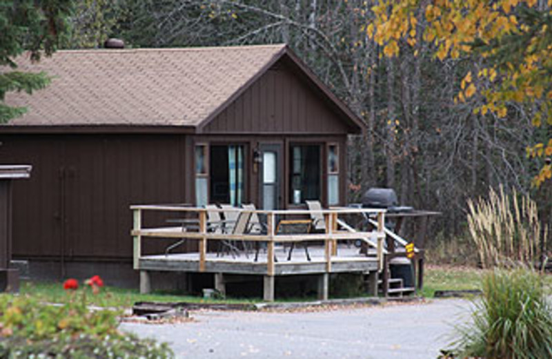 Thunderbird lodge international falls minnesota Thunderbird lodge international falls minnesota download windows mysql workbench
