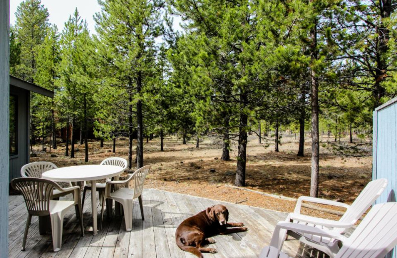 Pet friendly accommodations at Vacasa Rentals Sunriver.