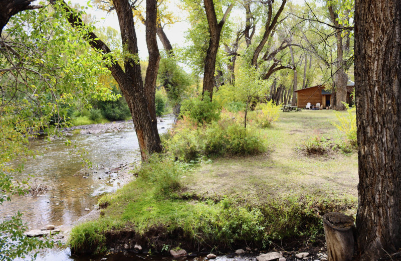 Stream at RV campground at Woods Landing.