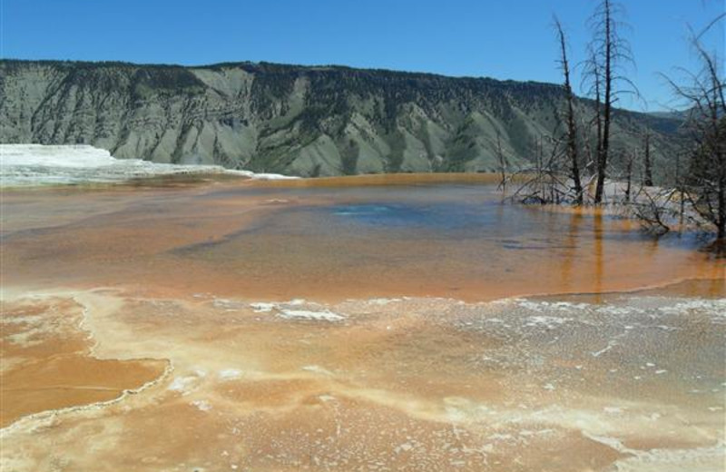 Yellowstone National Park near Bill Cody Ranch