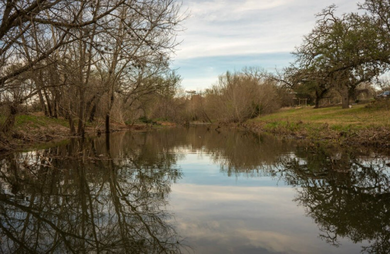 Pond view of Barons Creekside.