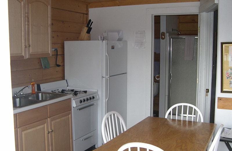 Cabin kitchen at Big Sky Charter & Fishcamp.