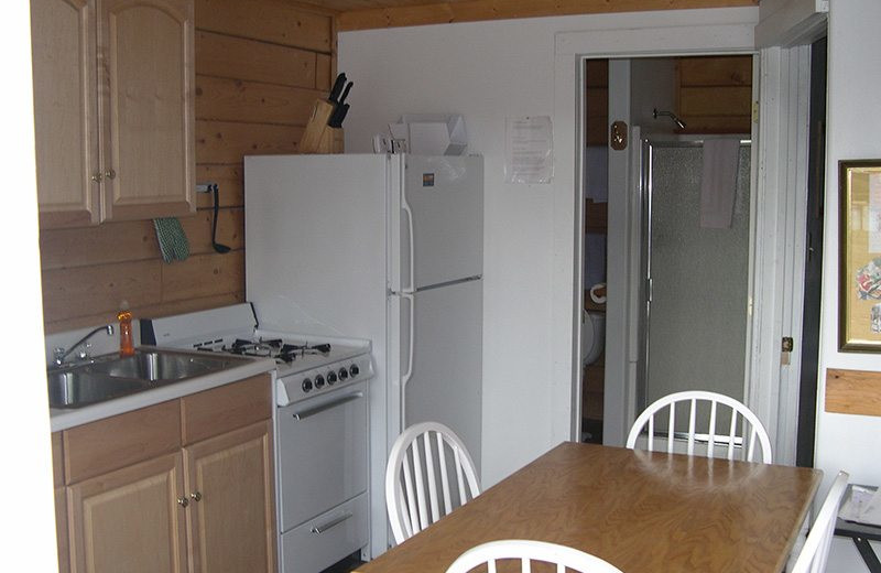 Cabin kitchen at Big Sky Charter & Fishcamp.