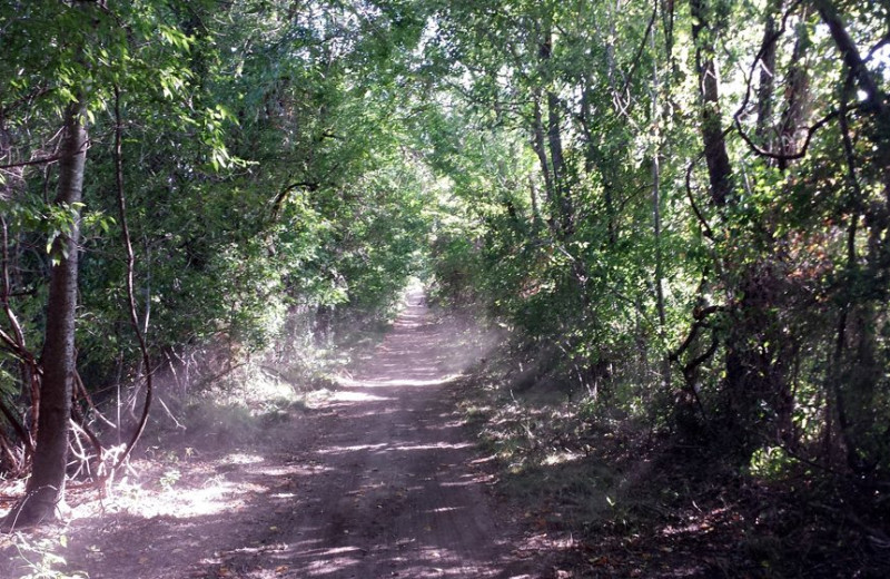 Path at Mill Creek Ranch Resort.