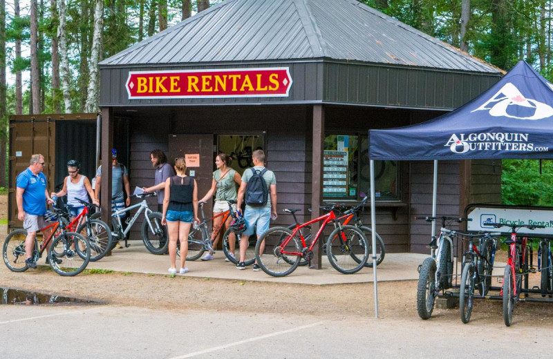 Bikes at Wolf Den Hostel and Nature Retreat.