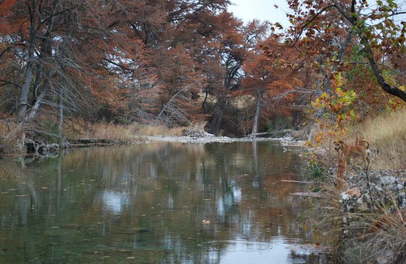 River view at Criders Frio River Resort.