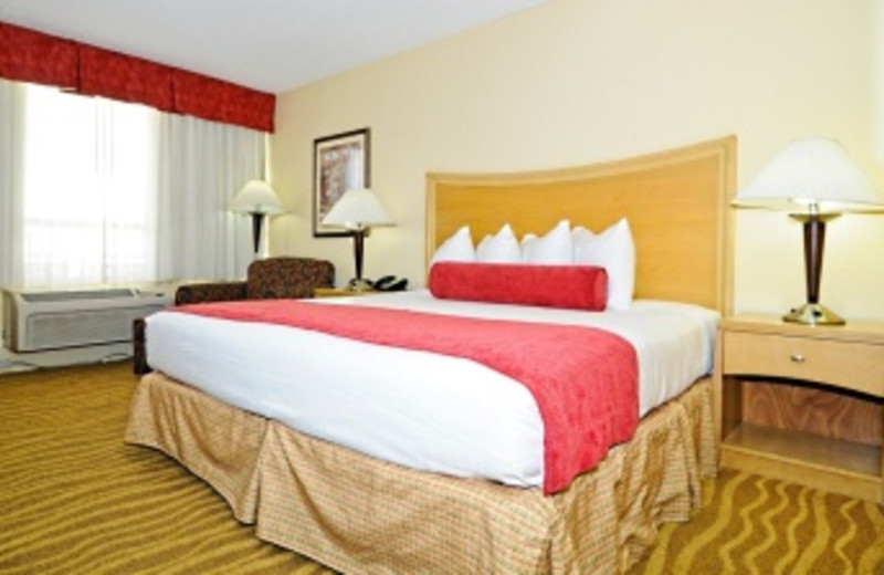 Guest Room at Best Western Plus
