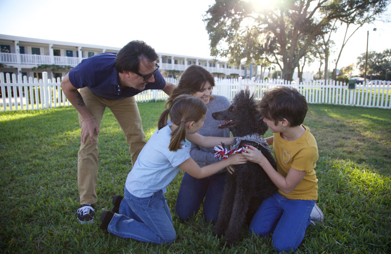 Pets welcome at Southern Oaks Inn.