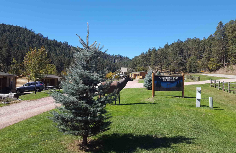 Exterior at American Pines Cabins.