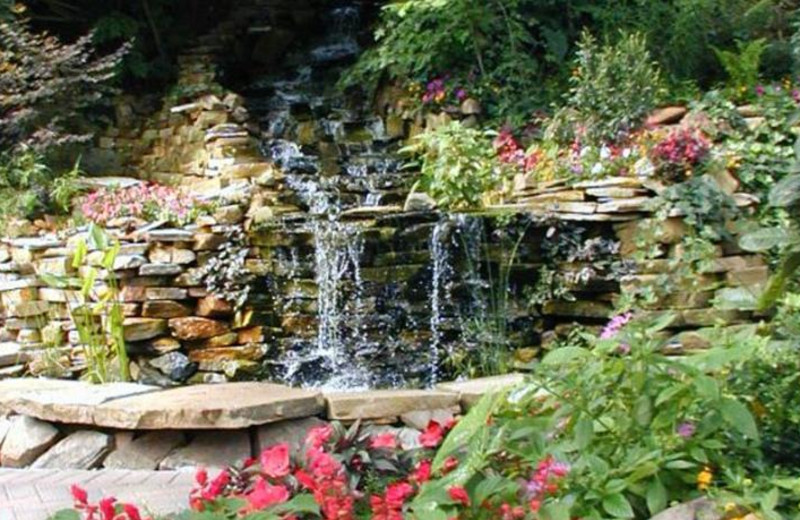 Waterfall garden at Black Forest Bed & Breakfast & Luxury Cabins.
