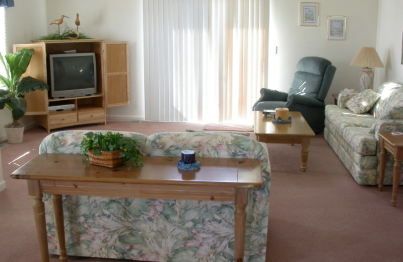 Rental living room at Island Real Estate. Inc.