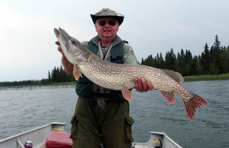 Fishing at Pine Point Lodge & Outposts.