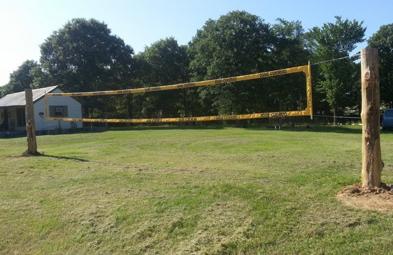 Volleyball court at Mustang RV Ranch.