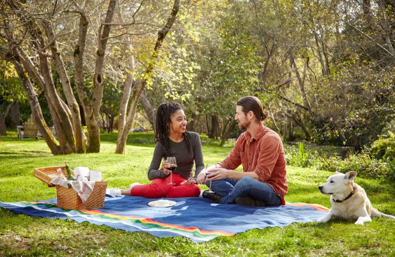 Picnics at Olema House.