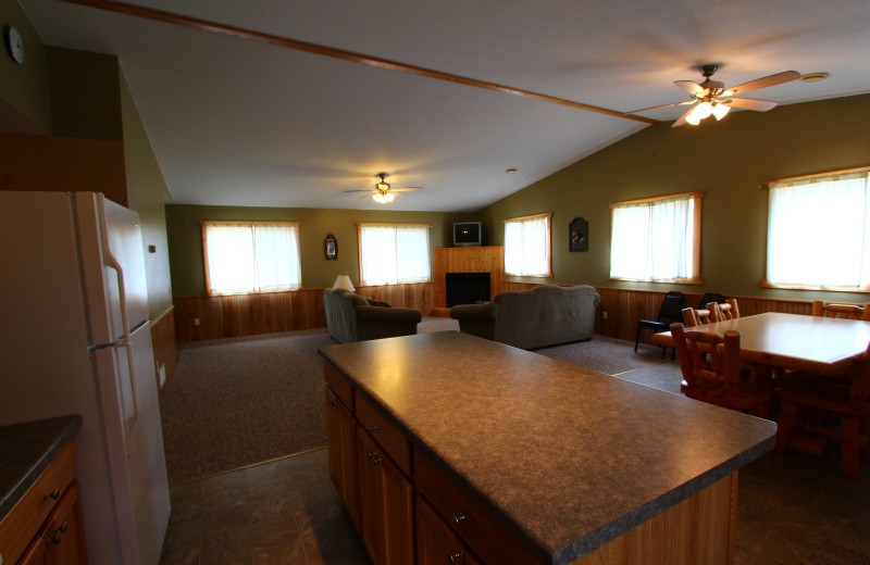 Cabin kitchen at Cyrus Resort.