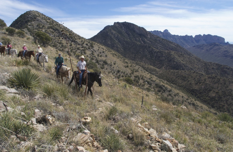 Horseback riding at Elkhorn Ranch.