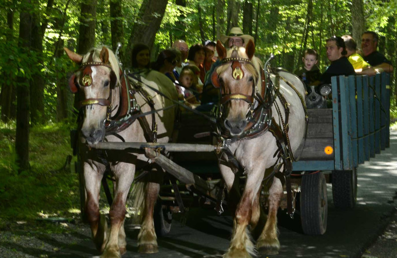 Wagon ride at Woodloch Resort.