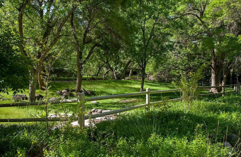 Grounds at Briar Patch Inn.