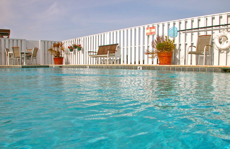 Outdoor pool at Oasis Suites.