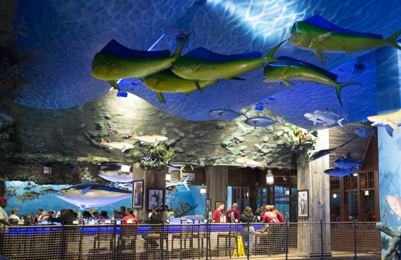 Dining at Big Cypress Lodge.