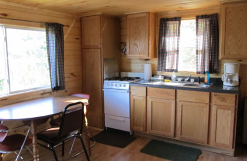 Cabin kitchen at Lac La Belle Lodge.