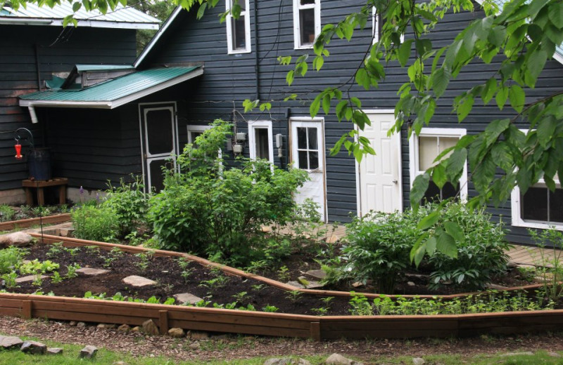 Garden at Bartlett Lodge.