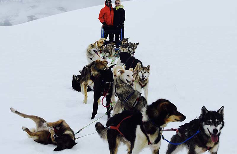 Dog sled at Trail Lake Lodge.