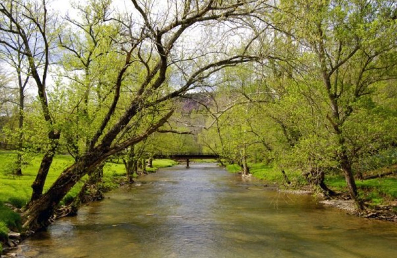 Beautiful creek view at Creekside Resort.