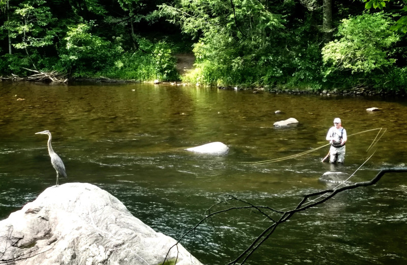 Fishing at Old Riverton Inn.