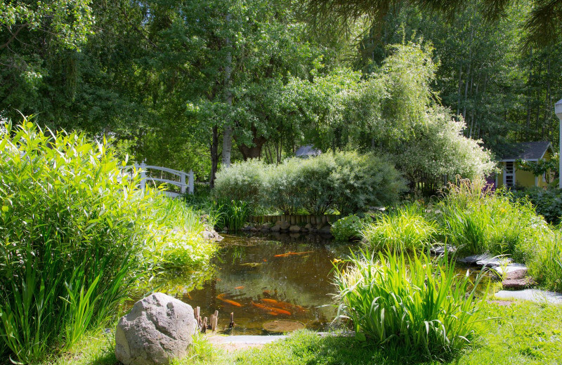 Garden at The Inn at Lithia Springs.