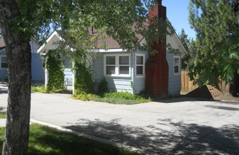 Outside view of cottage at Blue Horizon Lodge.