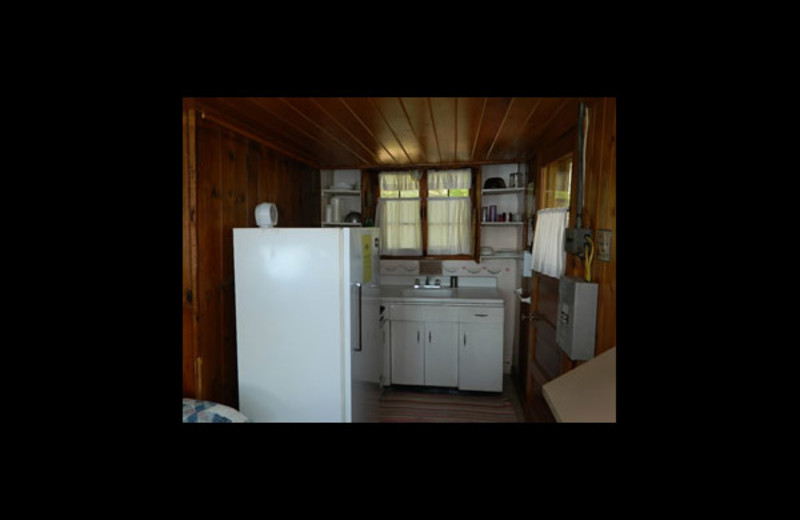 Cabin kitchen at Northern Ambiance Lodge.