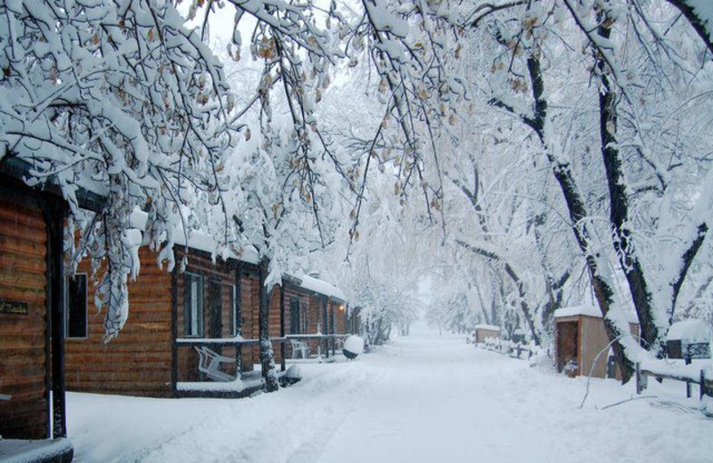 Cabins at Lazy Oaks Resort.