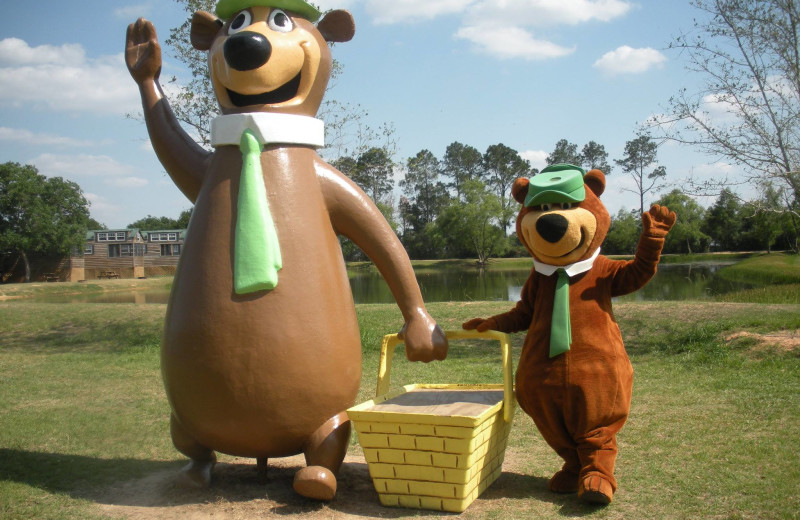 Yogi Bear at Lone Star Jellystone.