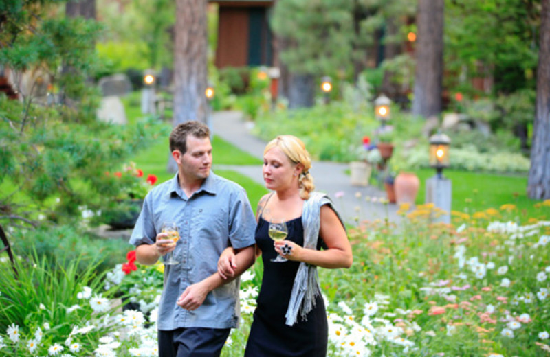 Black Bear Inn (South Lake Tahoe, CA) - Resort Reviews