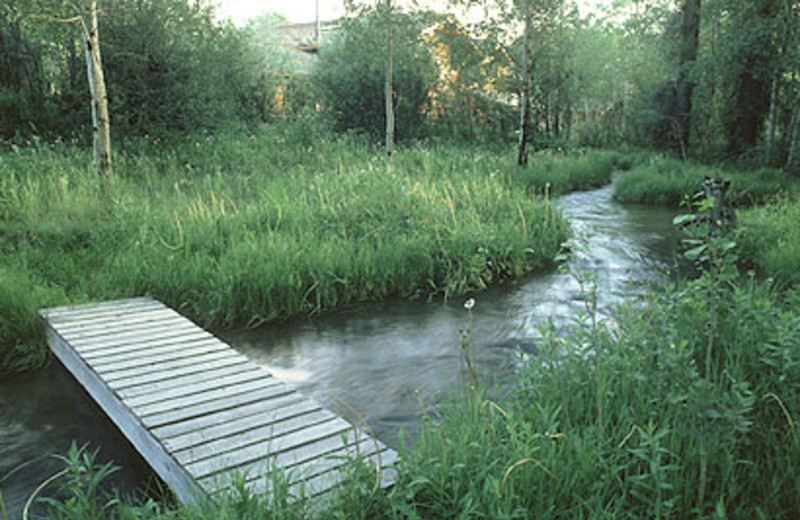 Trail and Stream View at The Wildflower Inn