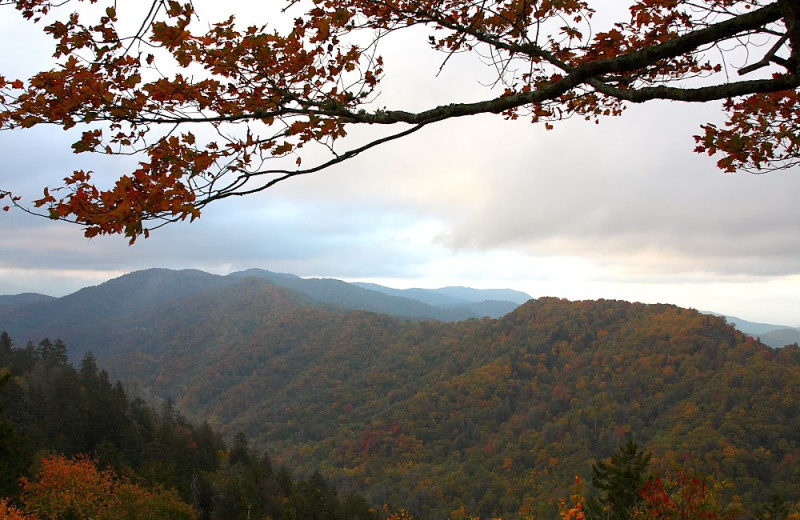 Mountain view at Great Cabins in the Smokies.