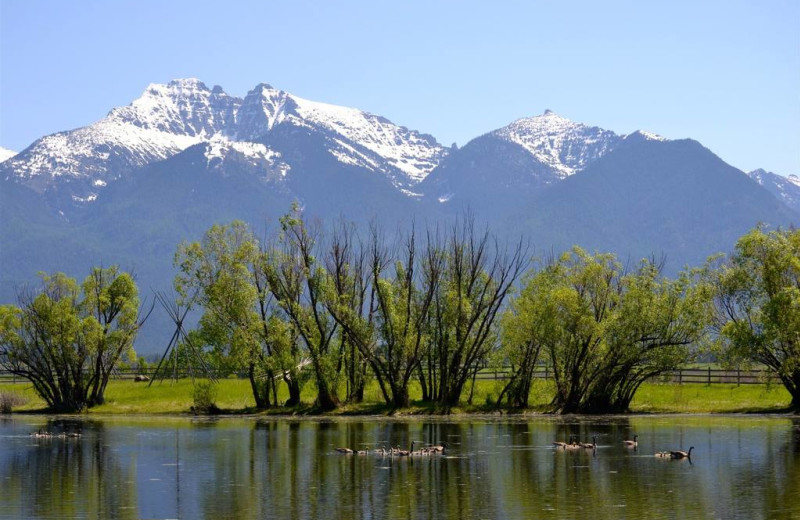 Mountains at Ninepipes Lodge.