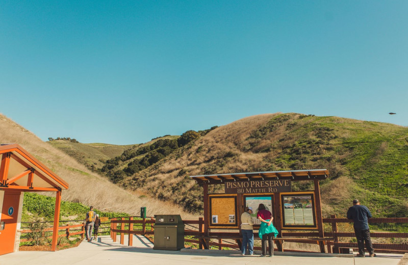 Nature preserve at Shore Cliff Hotel.