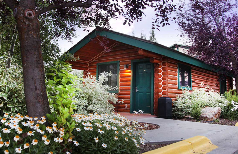 Cabin at Flying Saddle Resort.