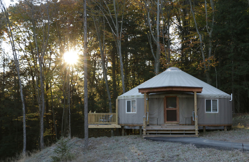 Yurt at Savage River Lodge.