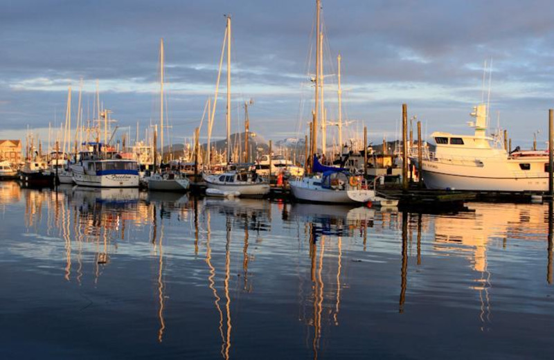 Fishing boats at Gilmore Hotel.