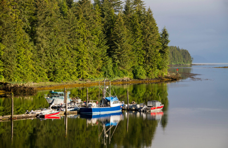 Boats at Favorite Bay Lodge.