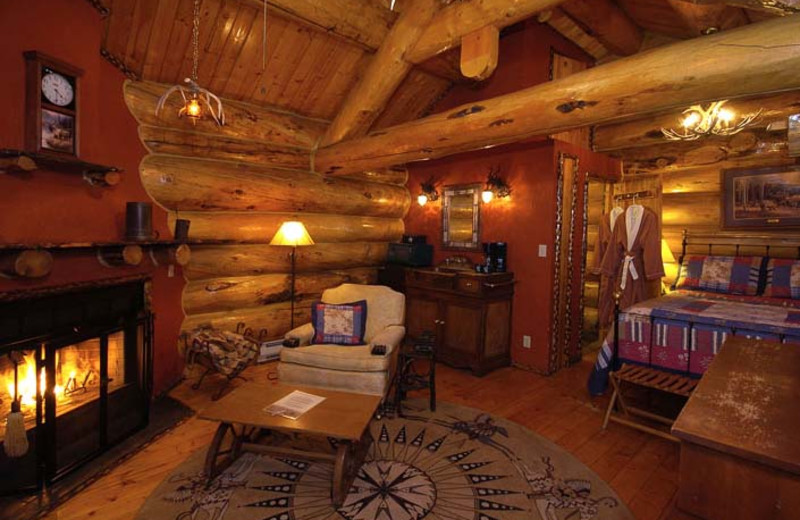 Winter Creek cabin interior at Bar N Ranch.