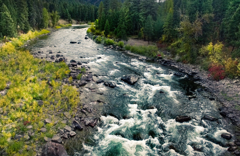 River at Missoula River Lodge.