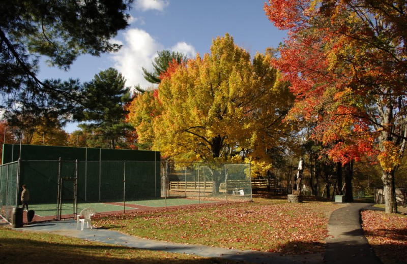 Tennis Courts at Pine Ridge Dude Ranch